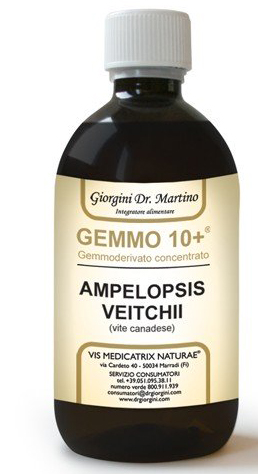 GEMMO 10+ GEMMODERIVATO CONCENTRATO LIQUIDO ANALCOLICO AMPELOPSIS VEITCHI VITE CANADESE 500 ML - Angeli Pharm