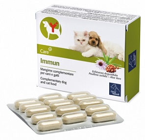 IMMUN 60 COMPRESSE - Angeli Pharm