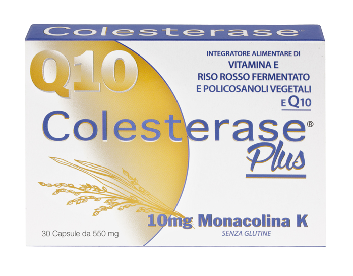 COLESTERASE PLUS 30 CAPSULE - Angeli Pharm