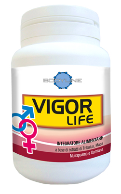 VIGOR LIFE 40 CAPSULE - Angeli Pharm