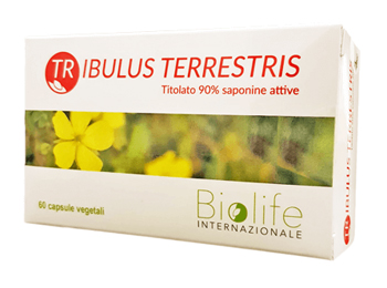 TRIBULUS TERRESTRIS 60 CAPSULE - Angeli Pharm