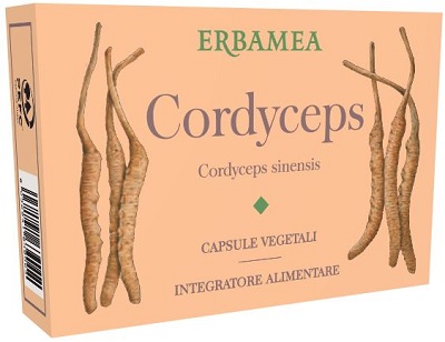 CORDYCEPS 24 CAPSULE VEGETALI - Angeli Pharm