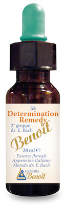 DETERMINATION REMEDY 28 ML - Angeli Pharm