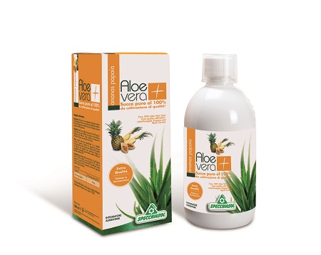 SUCCO ALOEVERA+ ANANAS/PAPAIA 1000 ML - Angeli Pharm