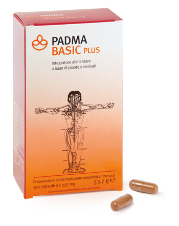 PADMA BASIC PLUS 100 CAPSULE - Angeli Pharm