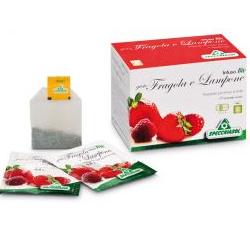 INFUSO BIO FRAGOLA E LAMPONE 20 FILTRI - Angeli Pharm