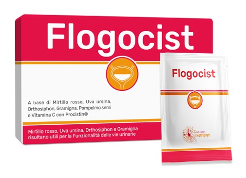FLOGOCIST 10 BUSTINE - Angeli Pharm