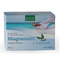 MAGNESIO B6 + BAOBAB 60 CAPSULE - Angeli Pharm