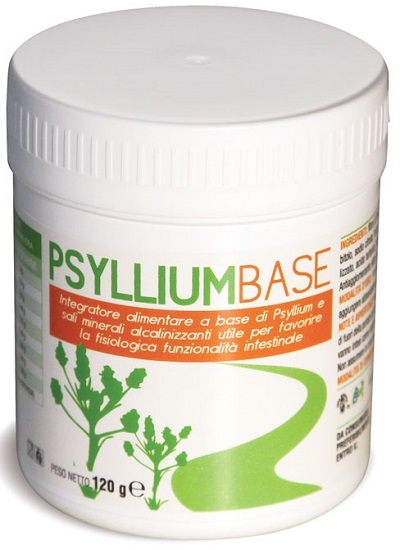 PSYLLIUM BASE POLVERE 120 G - Angeli Pharm