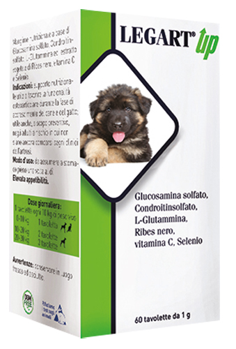 LEGART UP 60 COMPRESSE DA 1 G - Angeli Pharm