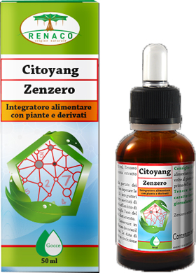 CITOYANG ZENZERO GOCCE FLACONCINO 50 ML - Angeli Pharm