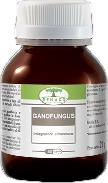 GANOFUNGUS 60 CAPSULE FLACONE 24 G - Angeli Pharm