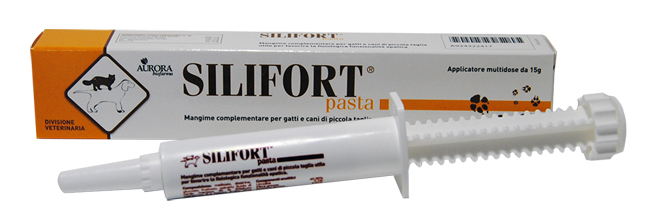 SILIFORT PASTA OS SIRINGA 15 G - Angeli Pharm