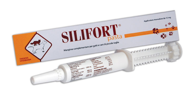 SILIFORT PASTA OS SIRINGA 30 G - Angeli Pharm