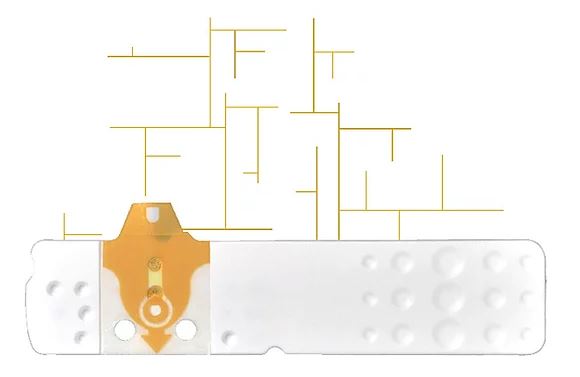 STRISCE MISURAZIONE GLICEMIA LINEA D ORO 50 PEZZI - Angeli Pharm