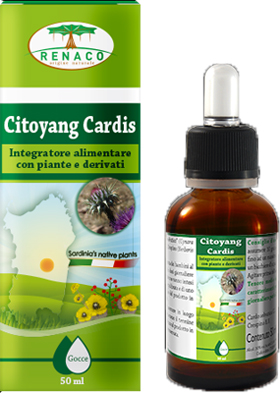 CITOYANG CARDIS GOCCE 50 ML - Angeli Pharm