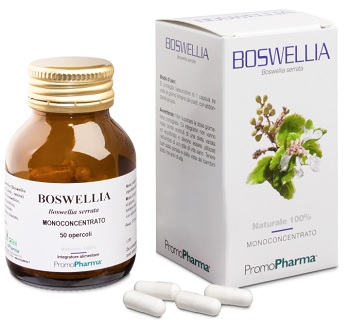 BOSWELLIA 50 CAPSULE - Angeli Pharm