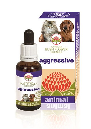 AGGRESSIVE 30 ML - Angeli Pharm
