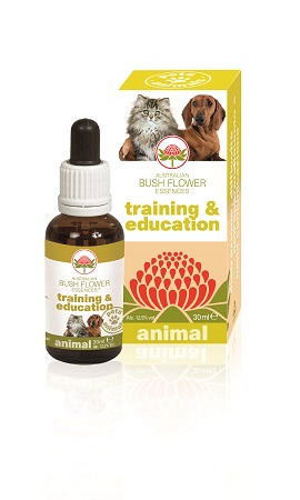 TRAINING & EDUCATION 30 ML - Angeli Pharm