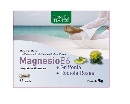MAGNESIO B6 + GRIFFONIA + RODIOLA 60 CAPSULE - Angeli Pharm