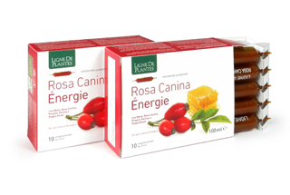 ROSA CANINA ENERGIE BIOLOGICO 10 AMPOLLE BEVIBILI DA 10 ML - Angeli Pharm