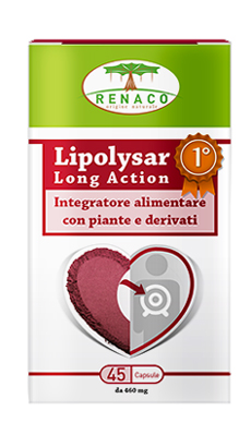 LIPOLYSAR LONG ACTION 45 CAPSULE - Angeli Pharm