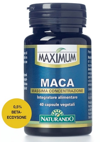 MAXIMUM MACA 40 CAPSULE - Angeli Pharm