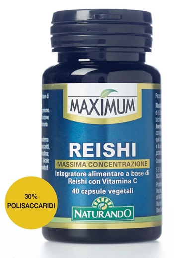 MAXIMUM REISHI 40 CAPSULE - Angeli Pharm