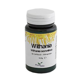 WITHANIA SOMNIFERA 60 CAPSULE - Angeli Pharm