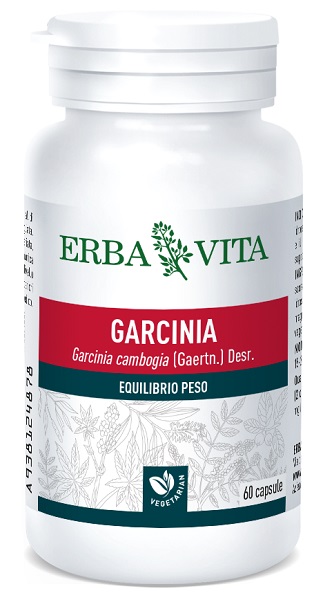 GARCINIA CAMBOGIA 60 CAPSULE 400 MG - Angeli Pharm