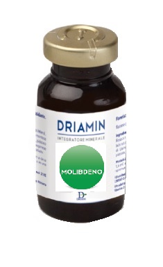 DRIAMIN MOLIBDENO 15 ML - Angeli Pharm