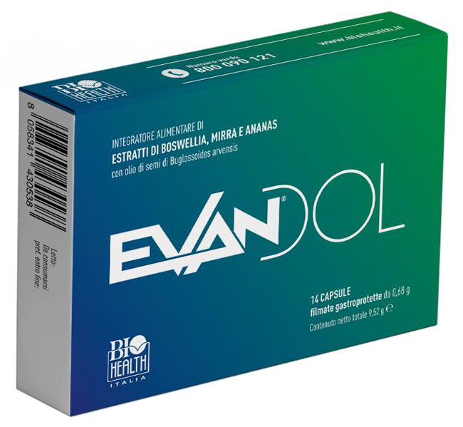 EVANDOL 14 CAPSULE - Angeli Pharm