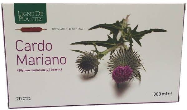 CARDO MARIANO 20 AMPOLLE BEVIBILI DA 15 ML - Angeli Pharm