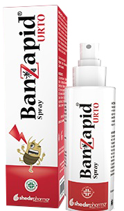 BANZAPID SPRAY TRATTAMENTO 100 ML - Angeli Pharm