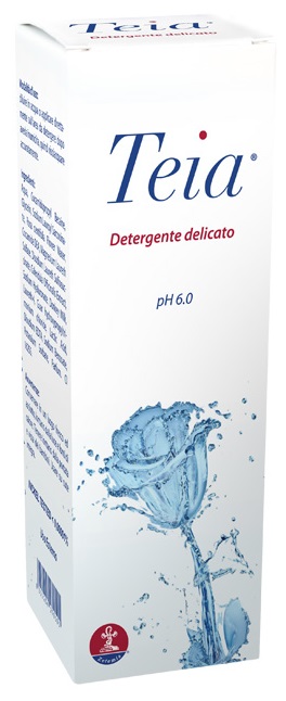 TEIA DETERGENTE CORPO 250 ML - Angeli Pharm