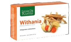 WITHANIA 60 CAPSULE - Angeli Pharm