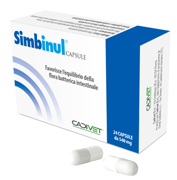 SIMBINUL 24 CAPSULE - Angeli Pharm