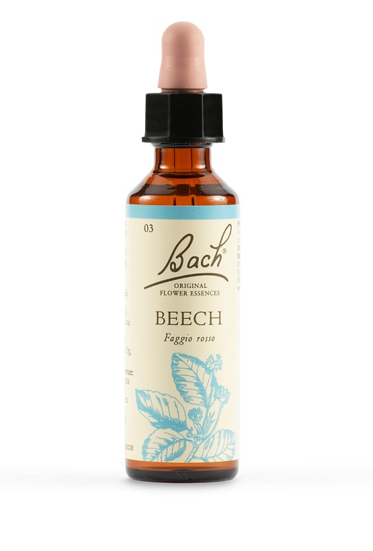 BEECH BACH ORIG 20 ML - Angeli Pharm