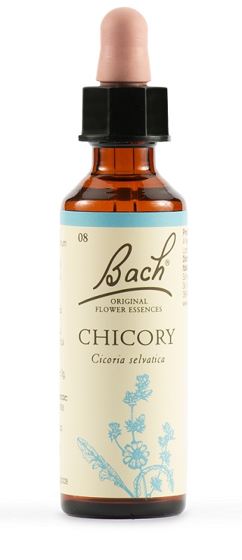 CHICORY BACH ORIG 20 ML - Angeli Pharm