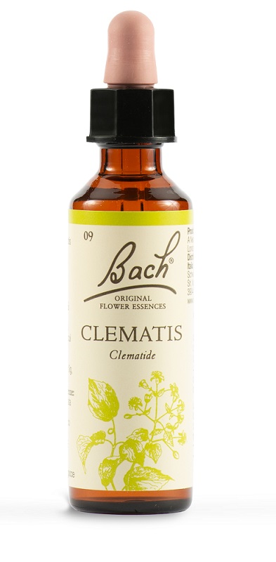 CLEMATIS BACH ORIG 20 ML - Angeli Pharm