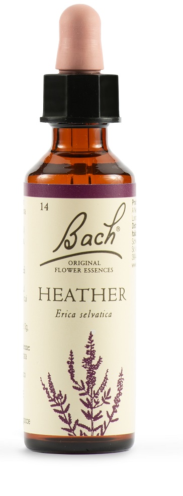 HEATHER BACH ORIG 20 ML - Angeli Pharm