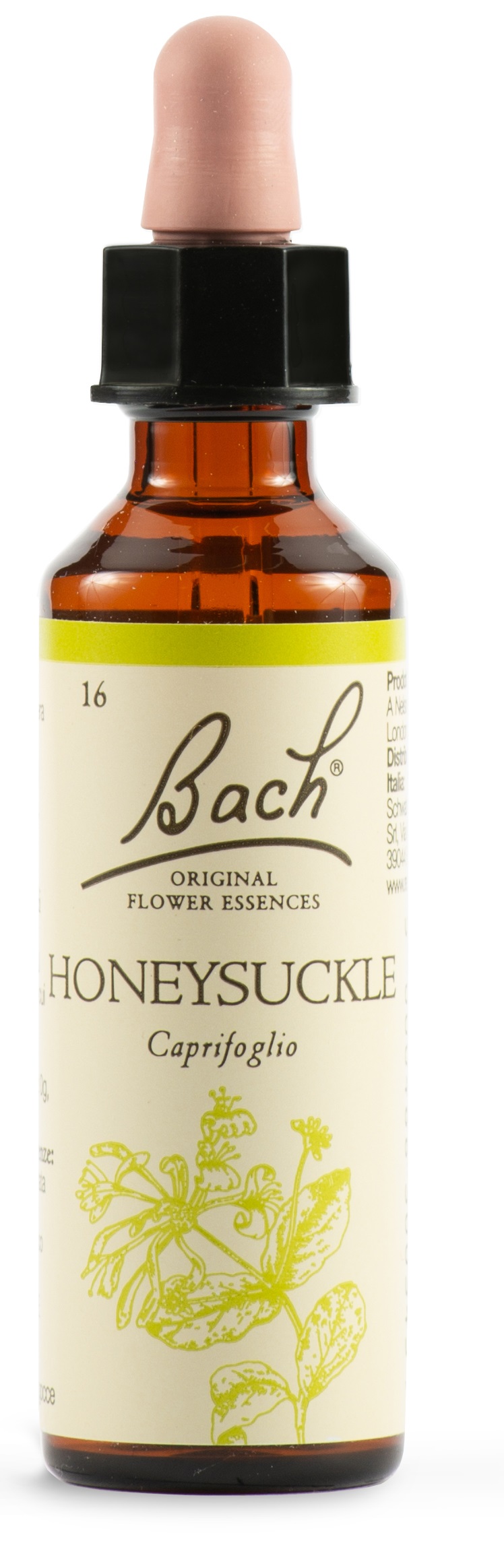 HONEYSUCKLE BACH ORIG 20 ML - Angeli Pharm