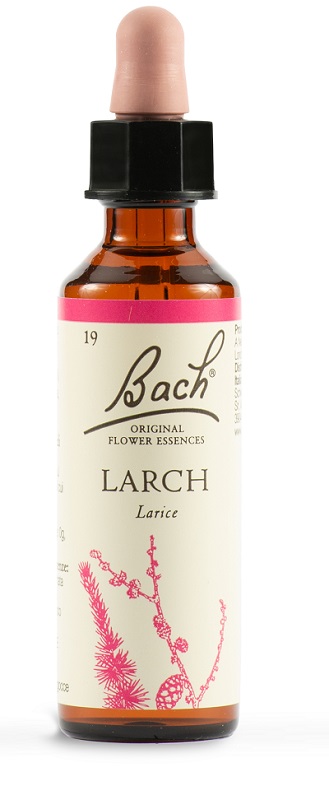 LARCH BACH ORIG 20 ML - Angeli Pharm