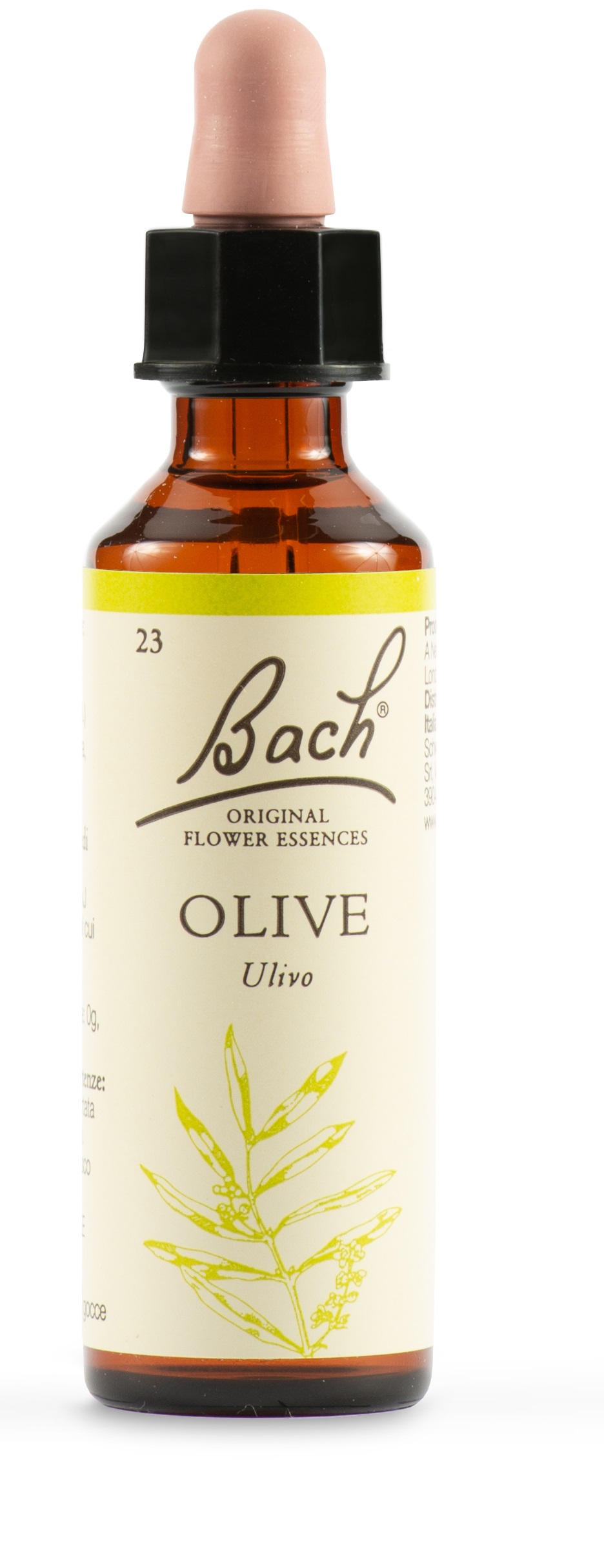 OLIVE BACH ORIG 20 ML - Angeli Pharm