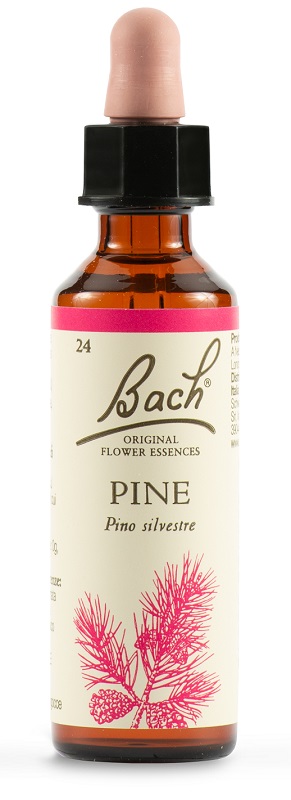 PINE BACH ORIG 20 ML - Angeli Pharm