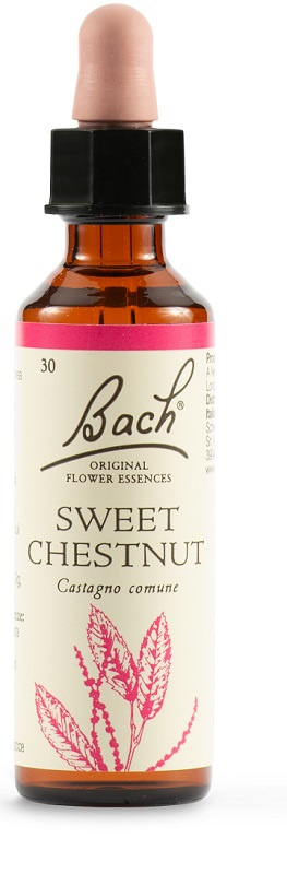 SWEET CHEST BACH ORIG 20 ML - Angeli Pharm