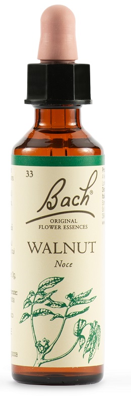 WALNUT BACH ORIG 20 ML - Angeli Pharm