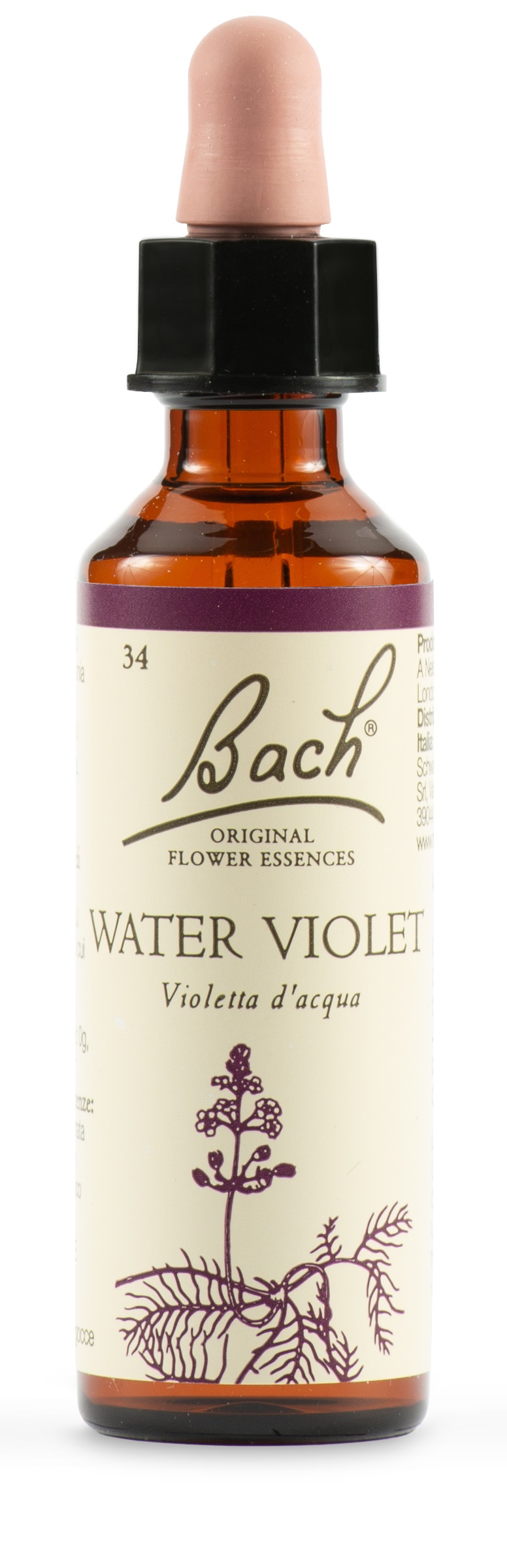 WATER VIOL BACH ORIG 20 ML - Angeli Pharm