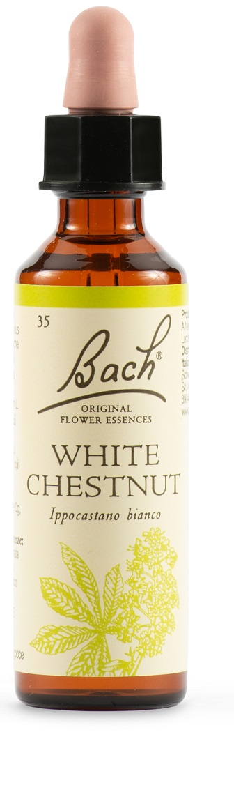 WHITE CHEST BACH ORIG 20 ML - Angeli Pharm