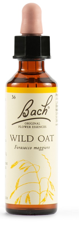 WILD OAT BACH ORIG 20 ML - Angeli Pharm